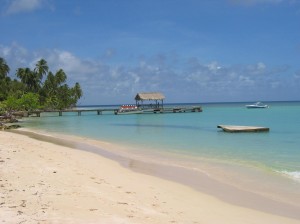 Tobago Island